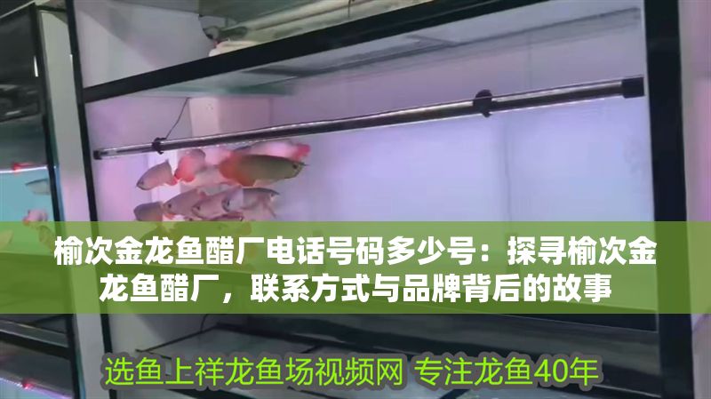 榆次金龍魚醋廠電話號碼多少號：探尋榆次金龍魚醋廠，聯系方式與品牌背后的故事
