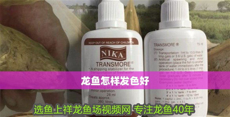 龍魚怎樣發(fā)色好