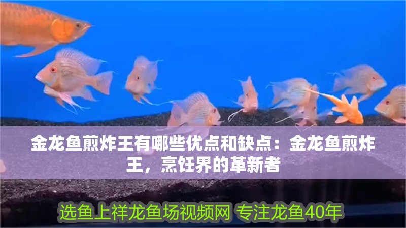 金龍魚煎炸王有哪些優(yōu)點和缺點：金龍魚煎炸王，烹飪界的革新者