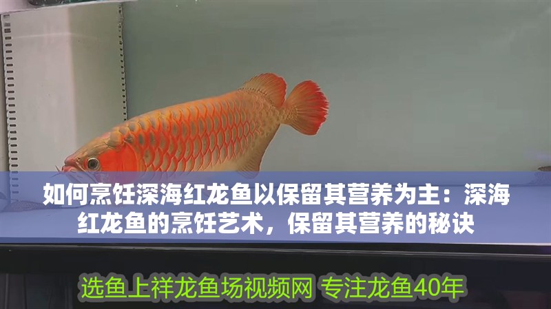如何烹飪深海紅龍魚以保留其營養為主：深海紅龍魚的烹飪藝術，保留其營養的秘訣