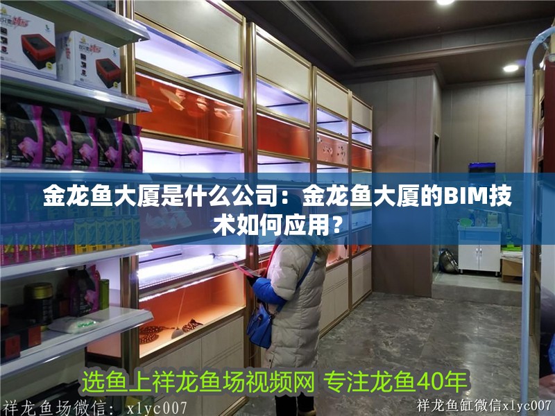 金龍魚大廈是什么公司：金龍魚大廈的BIM技術如何應用？