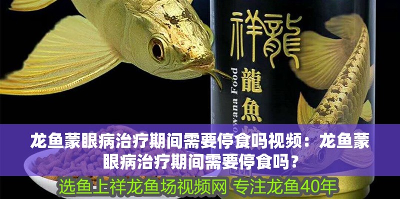 龍魚蒙眼病治療期間需要停食嗎視頻：龍魚蒙眼病治療期間需要停食嗎？