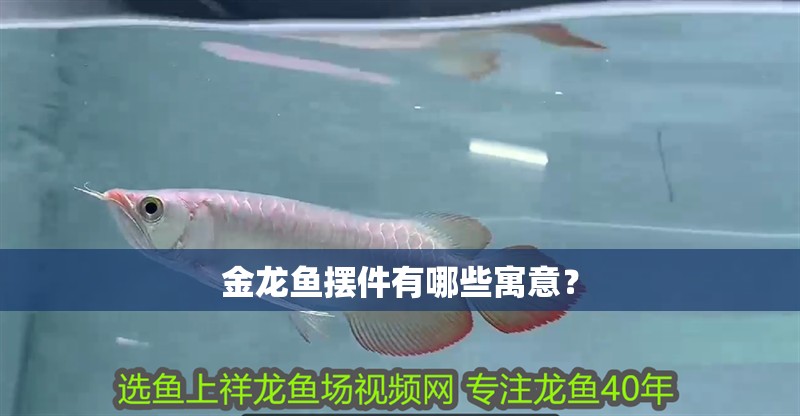 金龍魚擺件有哪些寓意？