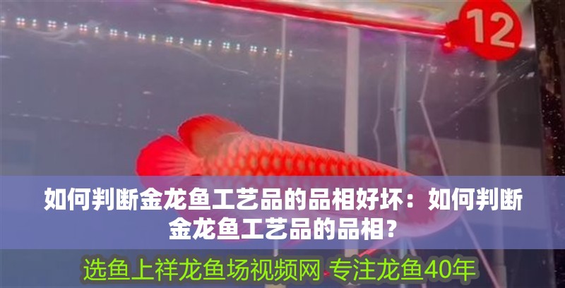 如何判斷金龍魚工藝品的品相好壞：如何判斷金龍魚工藝品的品相？