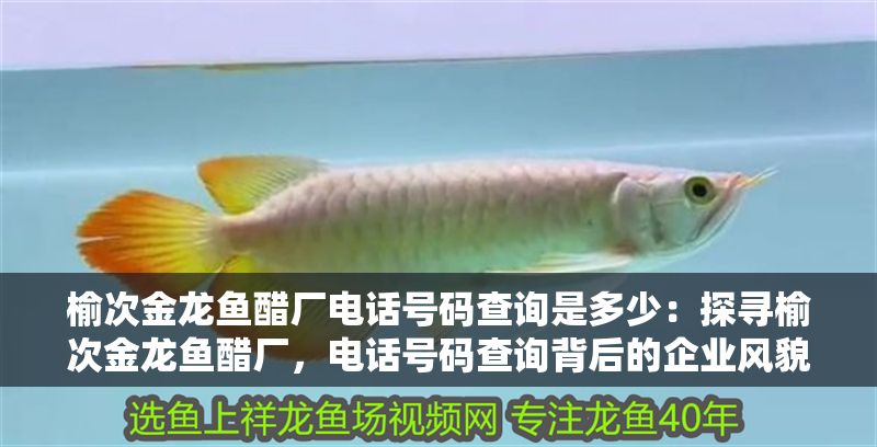 榆次金龍魚醋廠電話號碼查詢是多少：探尋榆次金龍魚醋廠，電話號碼查詢背后的企業風貌與行業洞察