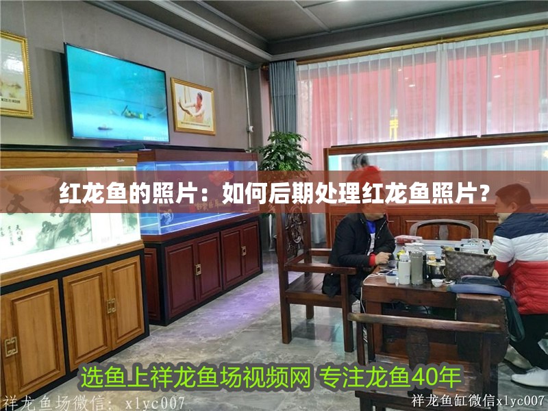 紅龍魚的照片：如何后期處理紅龍魚照片？ 紅龍魚的照片：如何后期處理紅龍魚照片？ 水族問答