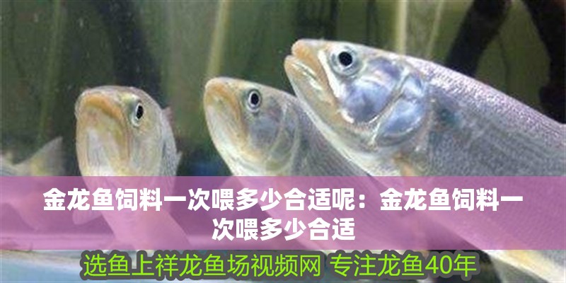金龍魚飼料一次喂多少合適呢：金龍魚飼料一次喂多少合適