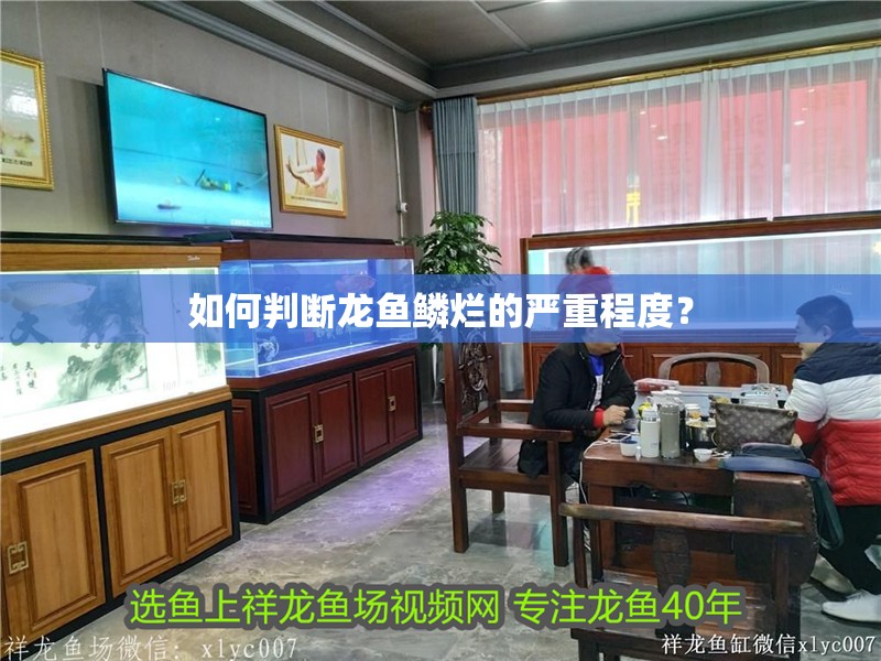 如何判斷龍魚鱗爛的嚴重程度？