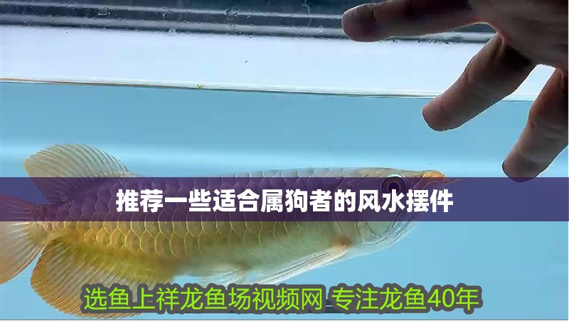 推薦一些適合屬狗者的風(fēng)水?dāng)[件