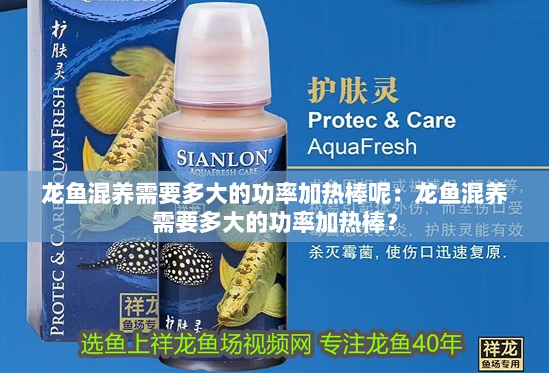 龍魚混養需要多大的功率加熱棒呢：龍魚混養需要多大的功率加熱棒？