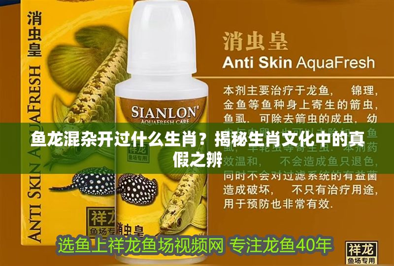 魚龍混雜開過(guò)什么生肖？揭秘生肖文化中的真假之辨