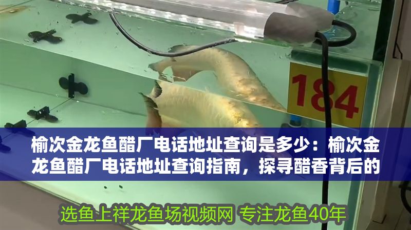 榆次金龍魚醋廠電話地址查詢是多少：榆次金龍魚醋廠電話地址查詢指南，探尋醋香背后的企業信息