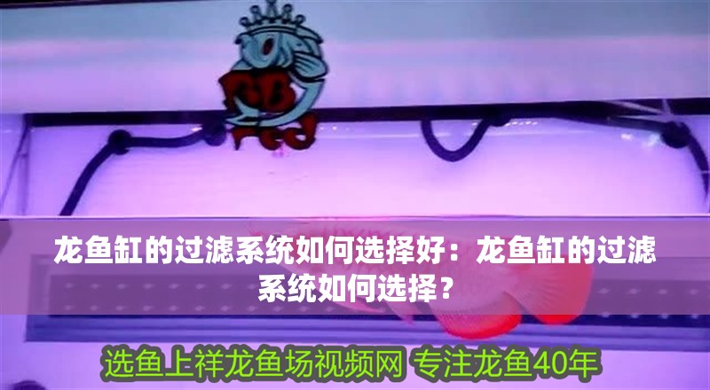 龍魚缸的過濾系統如何選擇好：龍魚缸的過濾系統如何選擇？