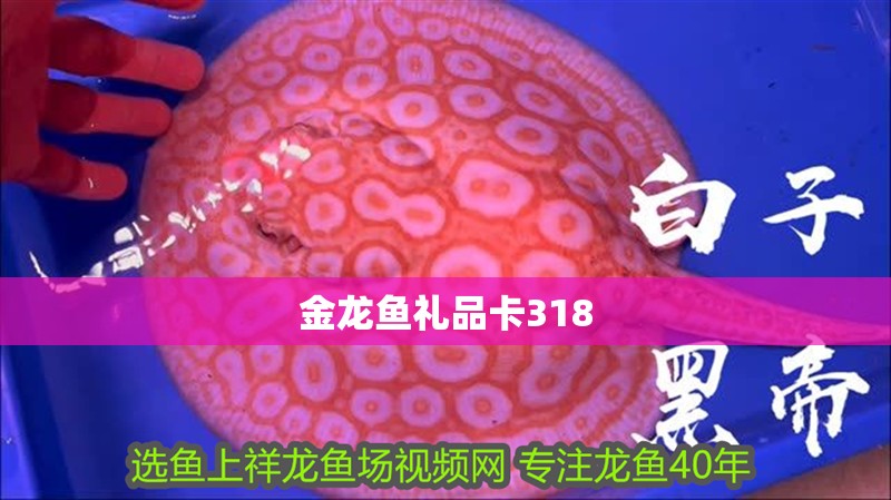 金龍魚禮品卡318