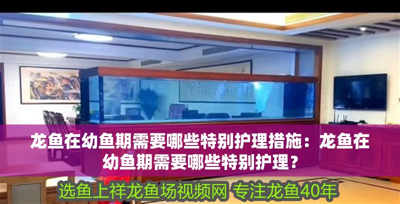 龍魚在幼魚期需要哪些特別護理措施：龍魚在幼魚期需要哪些特別護理？