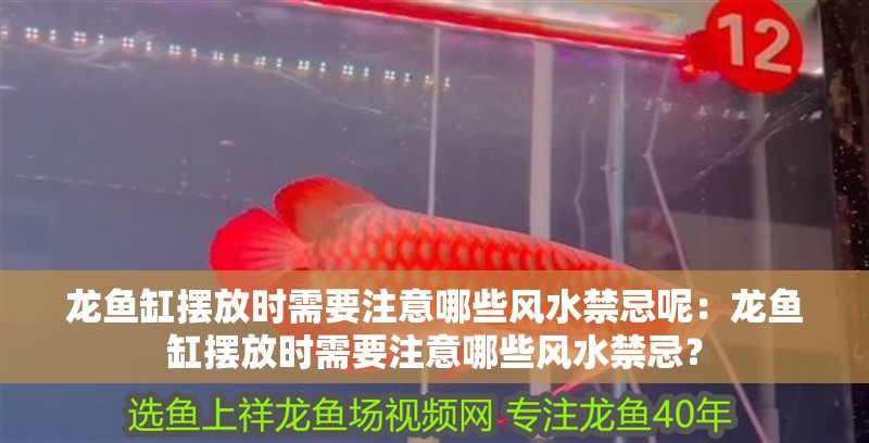 龍魚缸擺放時(shí)需要注意哪些風(fēng)水禁忌呢：龍魚缸擺放時(shí)需要注意哪些風(fēng)水禁忌？