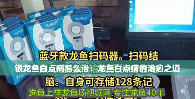 銀龍魚(yú)白點(diǎn)病怎么治：龍魚(yú)白點(diǎn)病的治愈之道