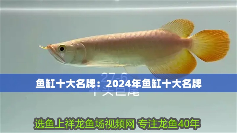 魚缸十大名牌：2024年魚缸十大名牌 魚缸十大名牌：2024年魚缸十大名牌 魚缸百科