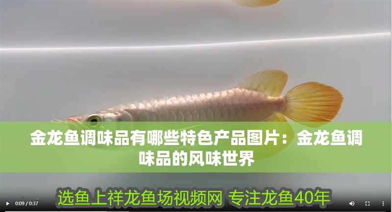 金龍魚調(diào)味品有哪些特色產(chǎn)品圖片：金龍魚調(diào)味品的風(fēng)味世界