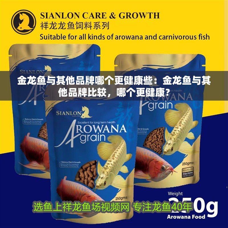 金龍魚與其他品牌哪個更健康些：金龍魚與其他品牌比較，哪個更健康？