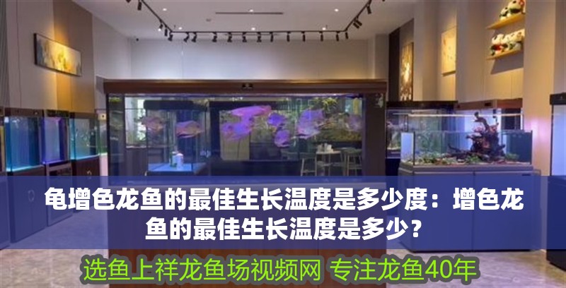 龜增色龍魚的最佳生長溫度是多少度：增色龍魚的最佳生長溫度是多少？