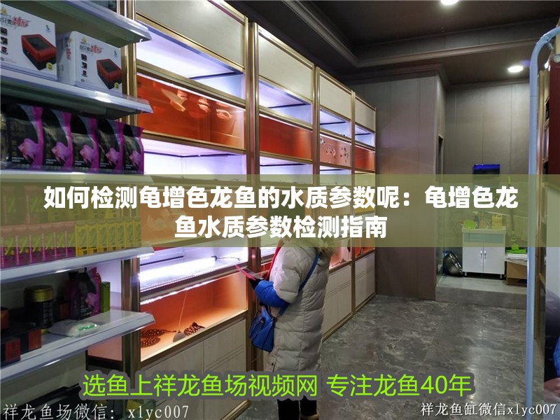 如何檢測龜增色龍魚的水質(zhì)參數(shù)呢：龜增色龍魚水質(zhì)參數(shù)檢測指南