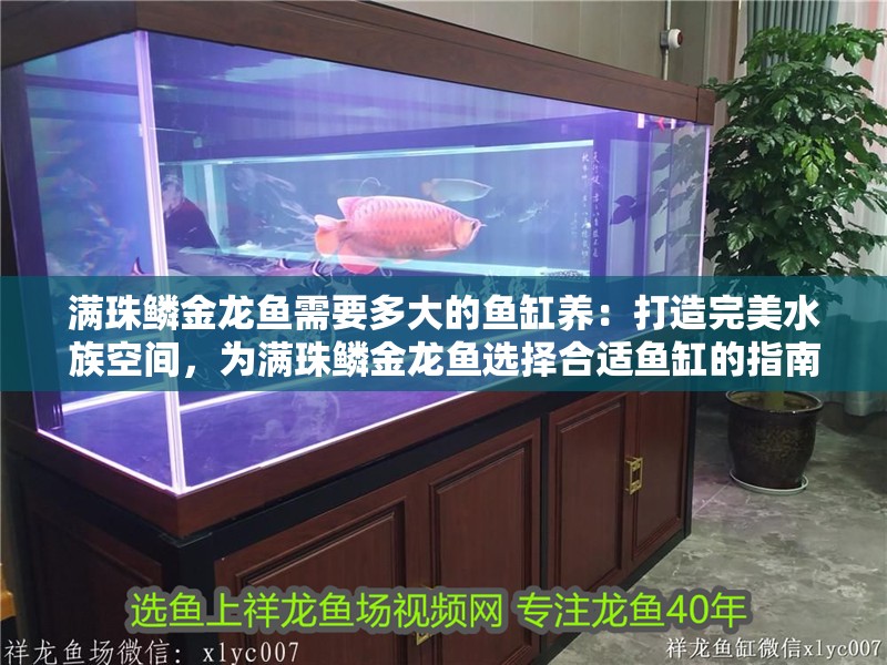 滿珠鱗金龍魚需要多大的魚缸養：打造完美水族空間，為滿珠鱗金龍魚選擇合適魚缸的指南 滿珠鱗金龍魚需要多大的魚缸養：打造完美水族空間，為滿珠鱗金龍魚選擇合適魚缸的指南 水族問答