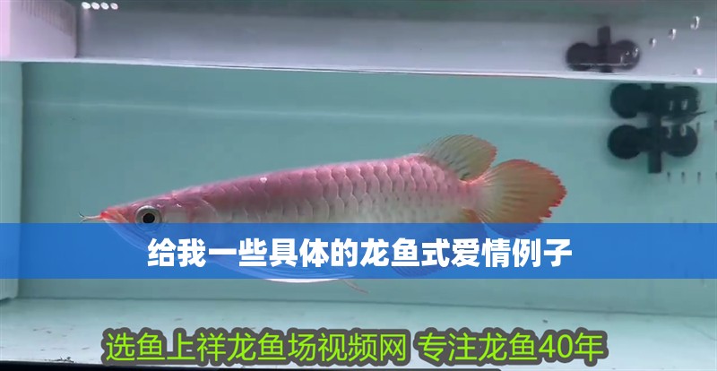 龍魚干蝦有營養嗎 給我一些具體的龍魚式愛情例子 龍魚百科 給我一些具體的龍魚式愛情例子 給我一些具體的龍魚式愛情例子 龍魚百科