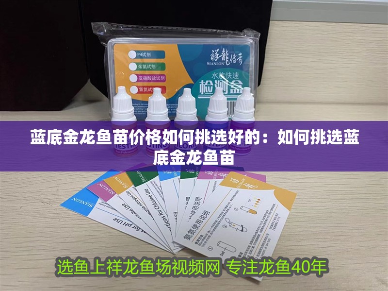 魚缸過濾器選購指南:自制魚缸過濾器魚缸上置過濾器對于養魚愛好者的必備知識 藍底金龍魚苗價格如何挑選好的:如何挑選藍底金龍魚苗 水族問答 藍底金龍魚苗價格如何挑選好的:如何挑選藍底金龍魚苗 藍底金龍魚苗價格如何挑選好的:如何挑選藍底金龍魚苗 水族問答