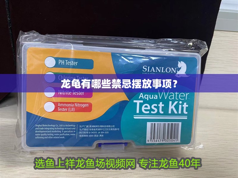 龍龜有哪些禁忌擺放事項？