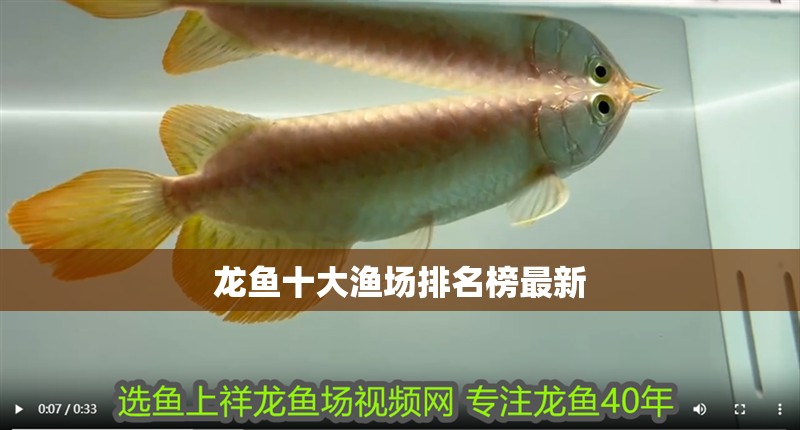 龍魚十大漁場排名榜最新 龍魚十大漁場排名榜最新 龍魚百科