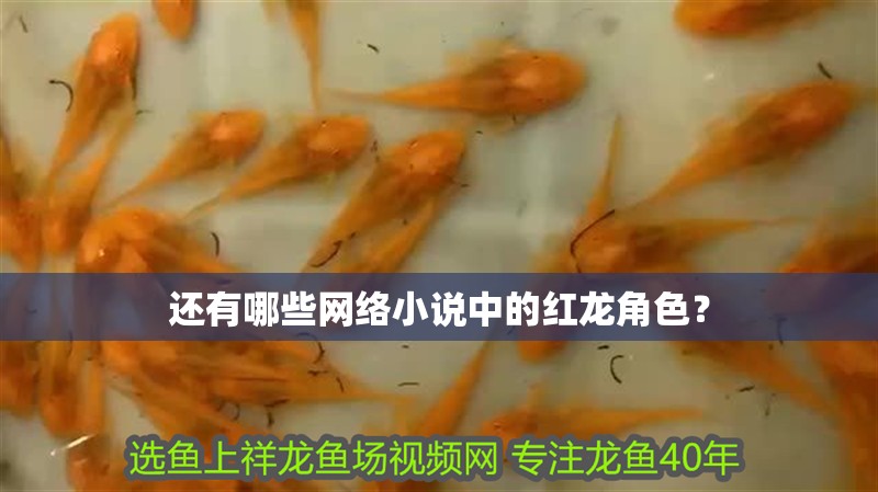 還有哪些網絡小說中的紅龍角色？