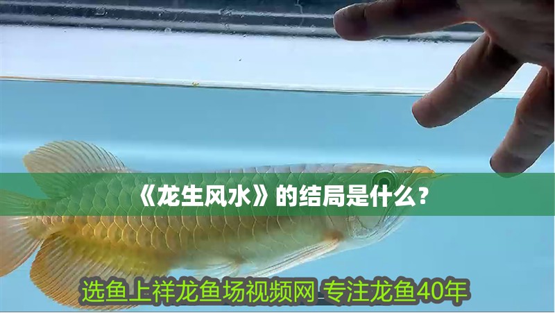 《龍生風水》的結局是什么？