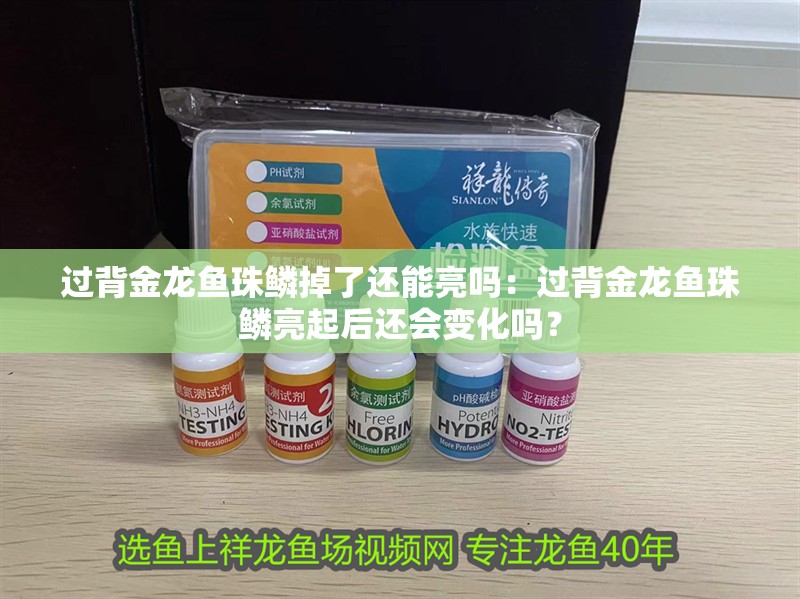 過(guò)背金龍魚(yú)珠鱗掉了還能亮嗎：過(guò)背金龍魚(yú)珠鱗亮起后還會(huì)變化嗎？