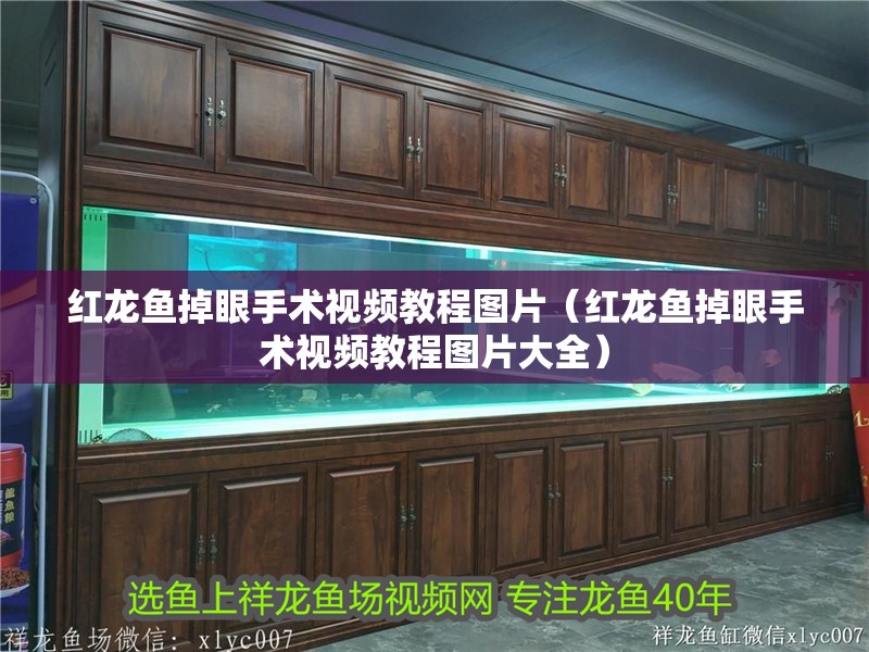 紅龍魚掉眼手術視頻教程圖片（紅龍魚掉眼手術視頻教程圖片大全）
