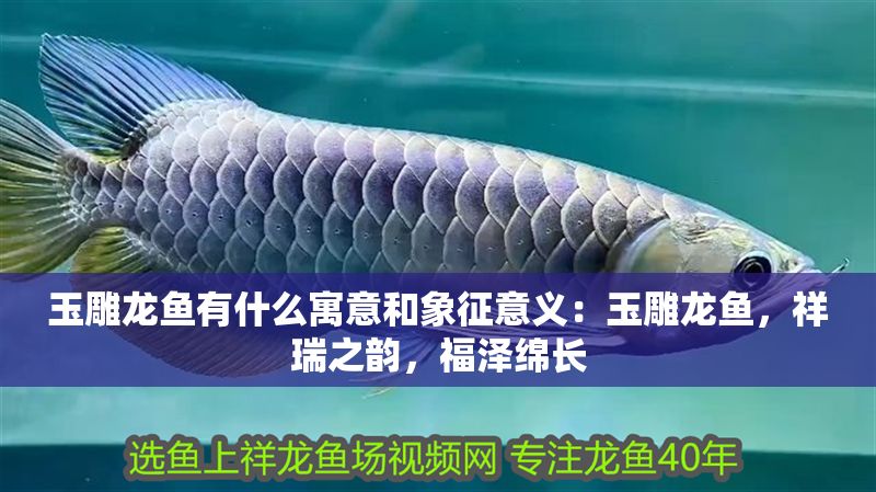 玉雕龍魚有什么寓意和象征意義：玉雕龍魚，祥瑞之韻，福澤綿長