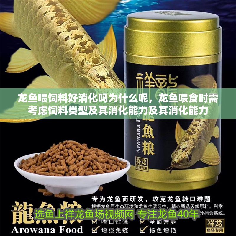 龍魚喂飼料好消化嗎為什么呢，龍魚喂食時需考慮飼料類型及其消化能力及其消化能力