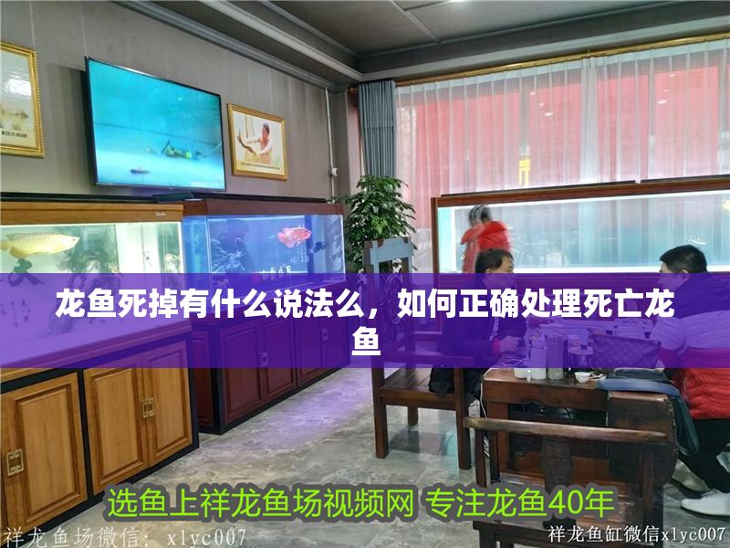 龍魚死掉有什么說法么，如何正確處理死亡龍魚