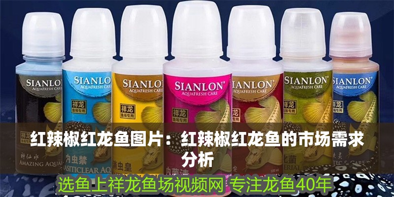 紅辣椒紅龍魚圖片：紅辣椒紅龍魚的市場需求分析