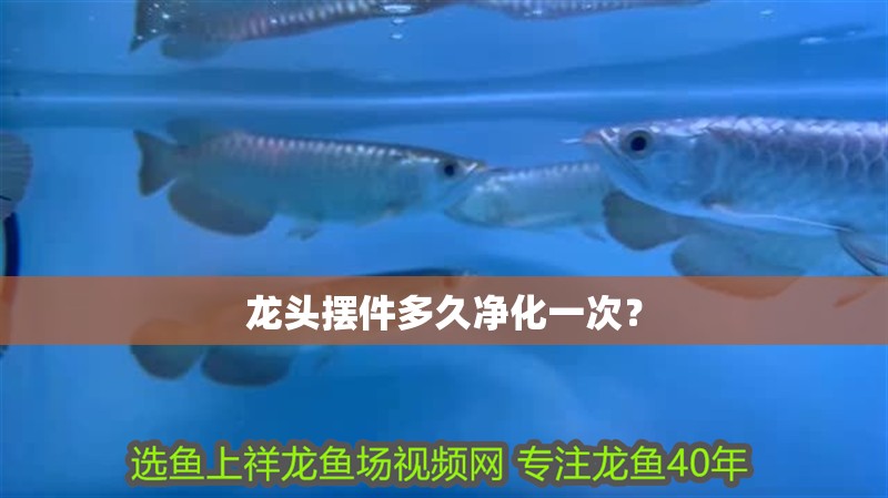 龍頭擺件多久凈化一次？
