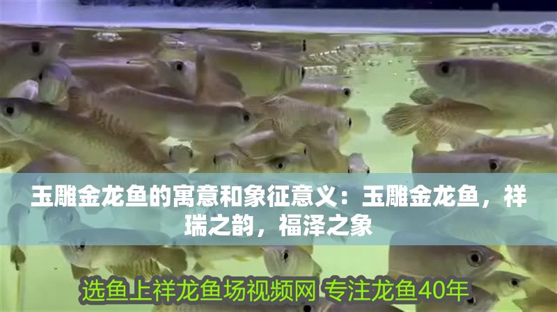 玉雕金龍魚的寓意和象征意義：玉雕金龍魚，祥瑞之韻，福澤之象