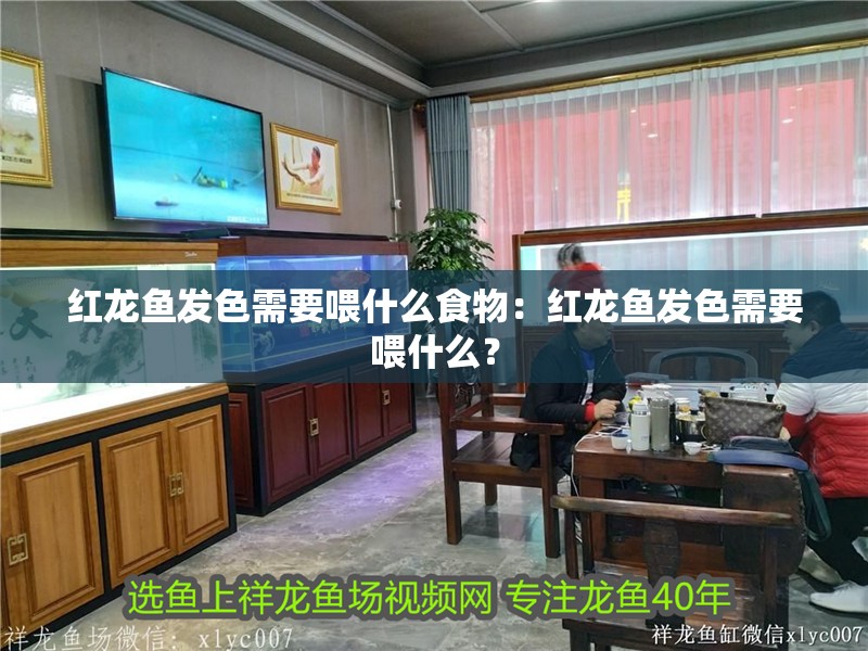 紅龍魚發(fā)色需要喂什么食物：紅龍魚發(fā)色需要喂什么？