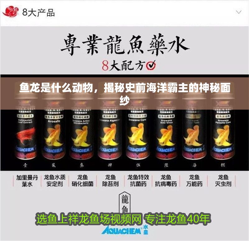 魚龍是什么動物，揭秘史前海洋霸主的神秘面紗 魚龍是什么動物，揭秘史前海洋霸主的神秘面紗 龍魚百科 第1張