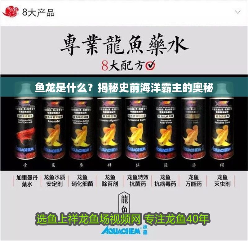 魚龍是什么？揭秘史前海洋霸主的奧秘 魚龍是什么？揭秘史前海洋霸主的奧秘 龍魚百科 第1張