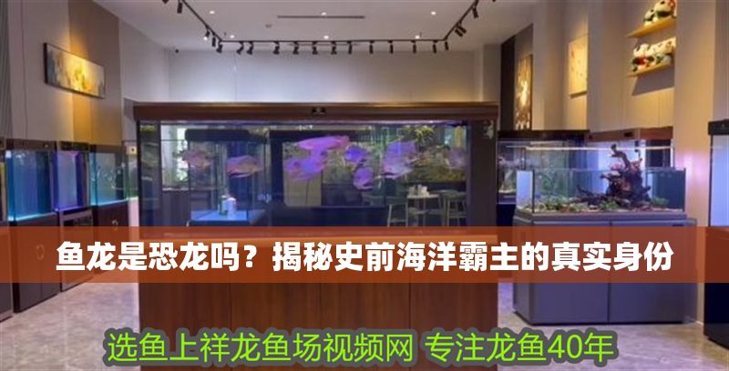 光特億q2ph檢測(cè)儀校正（光特億Q2ph檢測(cè)儀校正誤差大怎么辦）