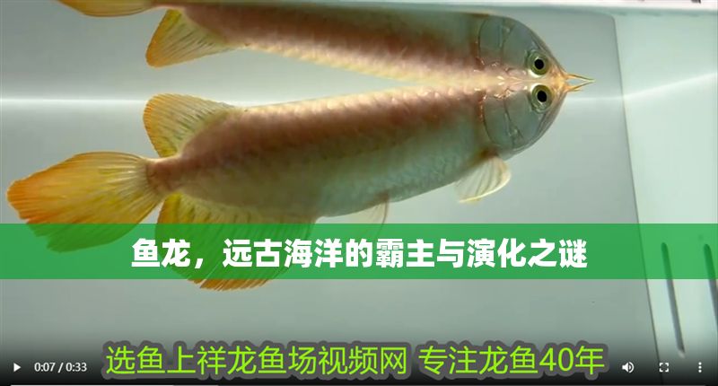 魚龍，遠古海洋的霸主與演化之謎