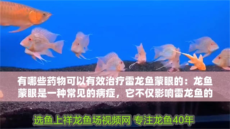有哪些藥物可以有效治療雷龍魚蒙眼的：龍魚蒙眼是一種常見的病癥，它不僅影響雷龍魚的外觀，還可能對其健康造成嚴重影響。因此，找到有效的藥物來治療雷龍魚蒙眼是非常重要的。本文將介紹一些可以有效治療雷龍魚蒙眼的藥物，并提供一些建議和注意事項