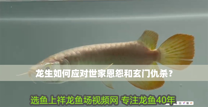 龍生如何應對世家恩怨和玄門仇殺？ 龍生如何應對世家恩怨和玄門仇殺？ 龍魚百科