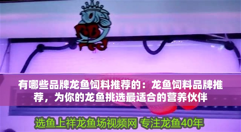 有哪些品牌龍魚飼料推薦的：龍魚飼料品牌推薦，為你的龍魚挑選最適合的營養(yǎng)伙伴