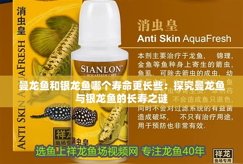 曼龍魚和銀龍魚哪個壽命更長些：探究曼龍魚與銀龍魚的長壽之謎